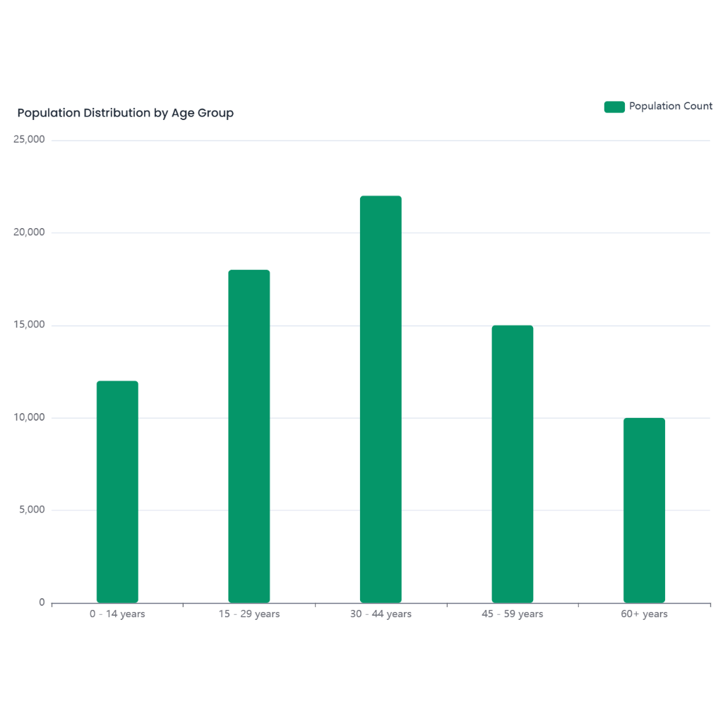 Population Distribution by Age Group